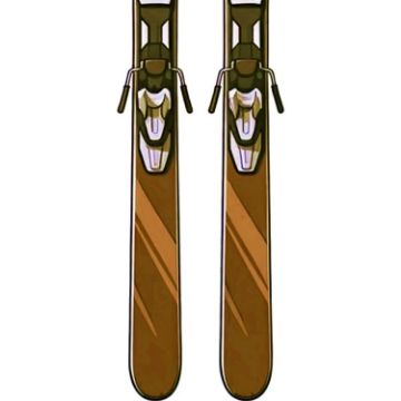 PROSTORE SKIS - RENEGADE SKIS BROWN 164-8